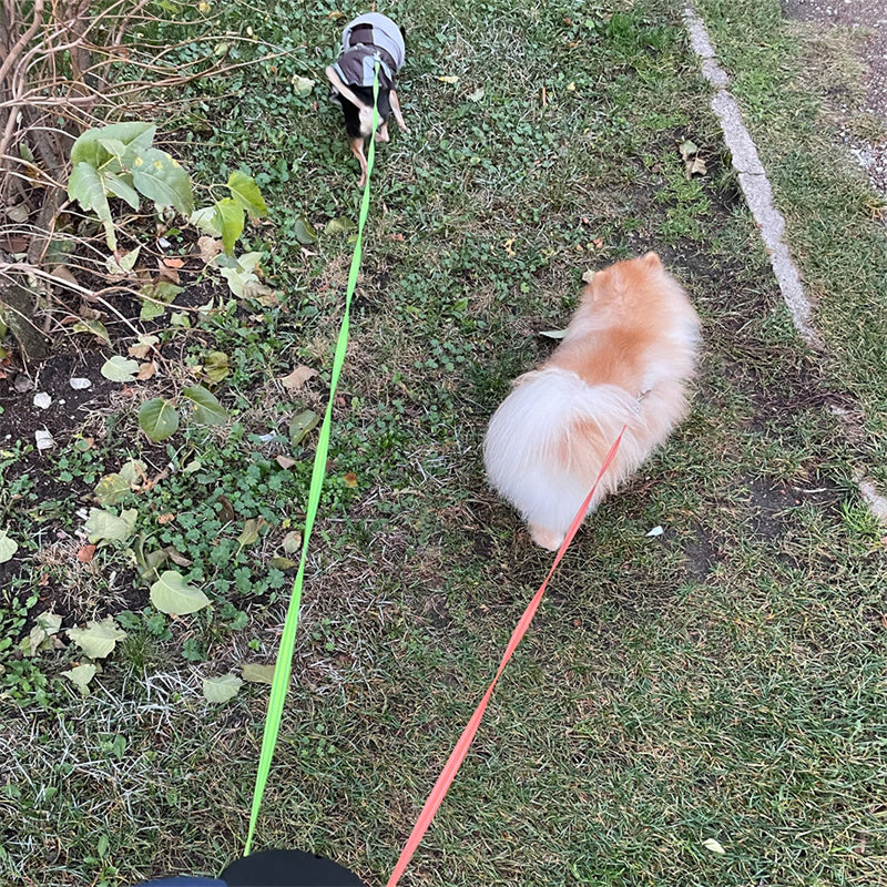 CalmWalk Retractable Dual Pet Leash