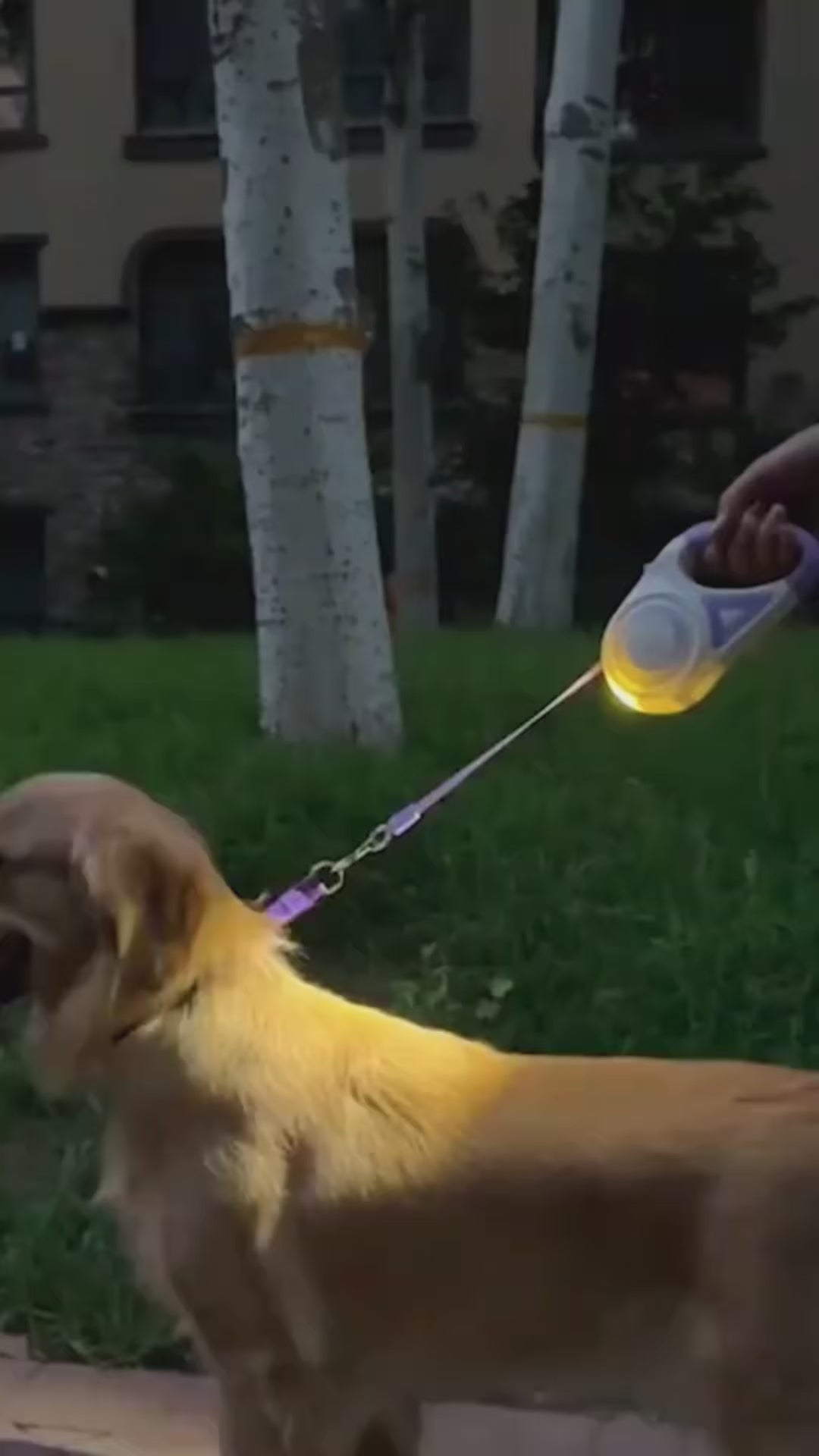 SmartRetract  LED Pet Leash